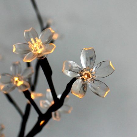 Bloom ljusslinga med små blommor